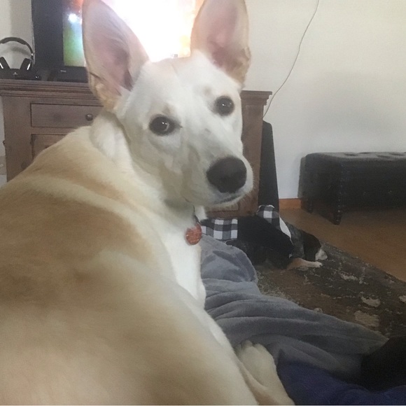 Meet TubbySunrise - Picture 3 of 7